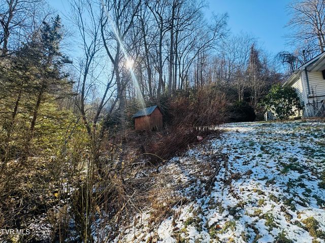 220 Whitehead Hollow Road, Roan Mountain, TN 37687