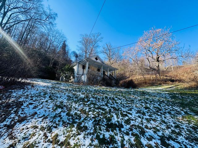 220 Whitehead Hollow Road, Roan Mountain, TN 37687