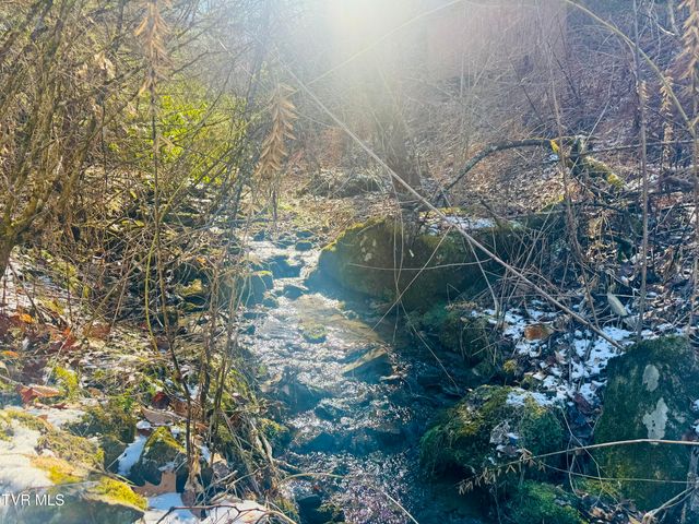 220 Whitehead Hollow Road, Roan Mountain, TN 37687