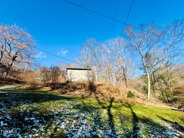 220 Whitehead Hollow Road, Roan Mountain, TN 37687