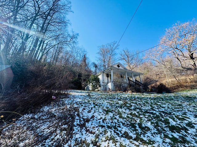 220 Whitehead Hollow Road, Roan Mountain, TN 37687