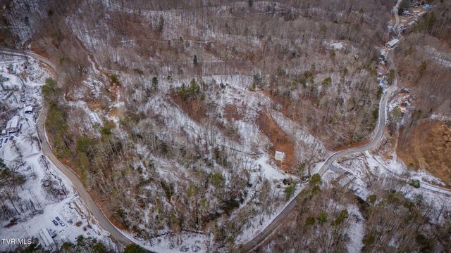 220 Whitehead Hollow Road, Roan Mountain, TN 37687