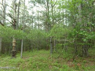 20 Paola Drive, Crossville, TN 38572