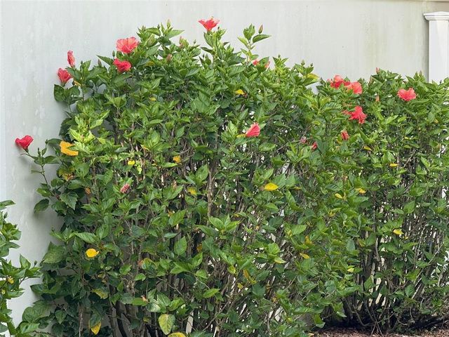 1087 JACKSON STREET, The Villages, FL 32162