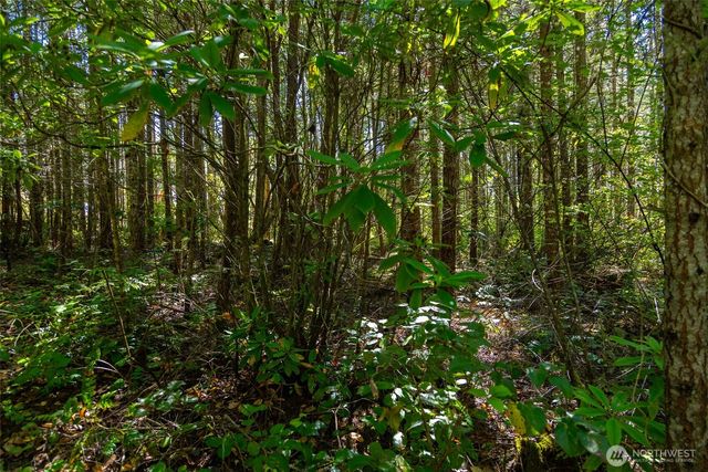 0 45th and Cleveland, Port Townsend, WA 98368