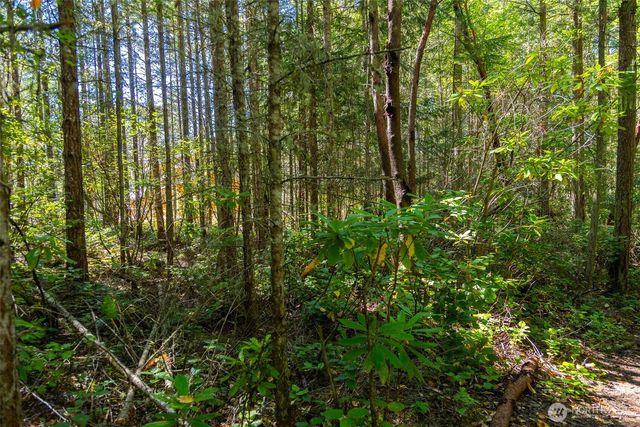 0 45th and Cleveland, Port Townsend, WA 98368