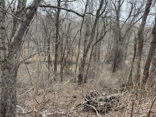 197 E Mill Rd, Washington Twp., NJ 07853