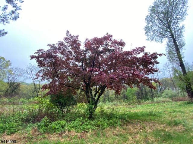 197 E Mill Rd, Washington Twp., NJ 07853