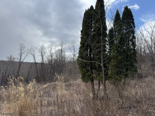 197 E Mill Rd, Washington Twp., NJ 07853