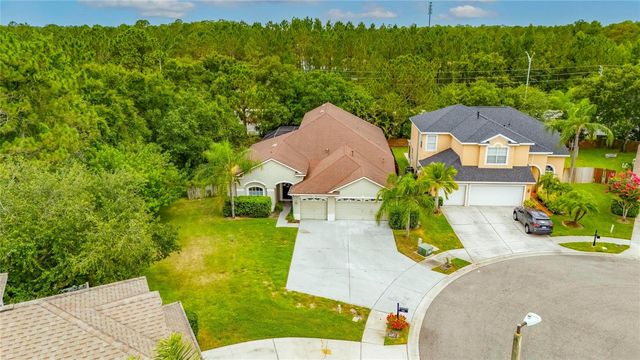 11901 NORTHUMBERLAND DRIVE, Tampa, FL 33626