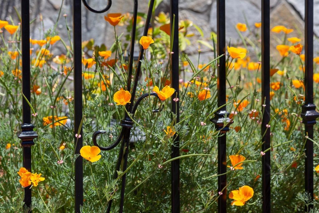 Image 22 of property listing at 10353 Royal Oak Rd, Oakland, CA 94605