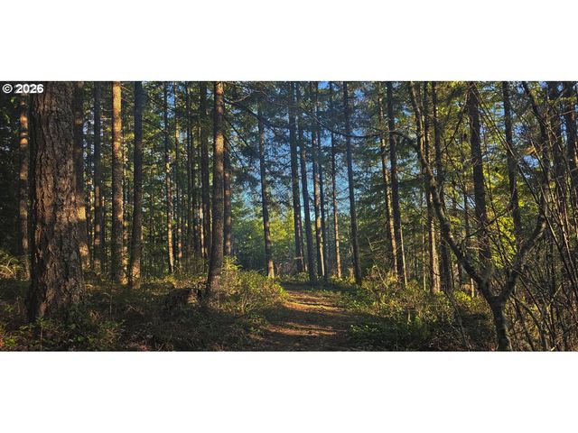 55240 MCDONALD Rd, Vernonia, OR 97064