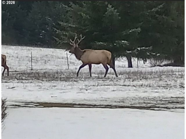 55240 MCDONALD Rd, Vernonia, OR 97064