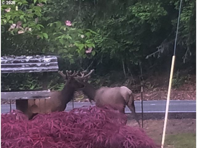 55240 MCDONALD Rd, Vernonia, OR 97064