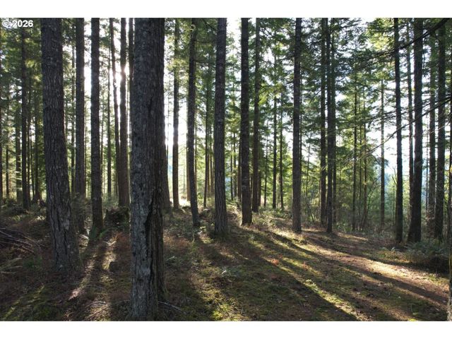 55240 MCDONALD Rd, Vernonia, OR 97064