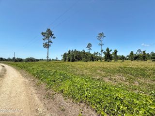 00 Solitaire Trail, Marianna, FL 32446