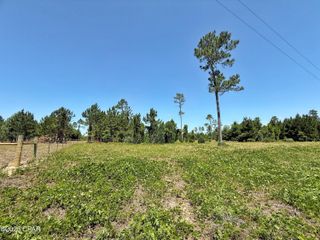 00 Solitaire Trail, Marianna, FL 32446