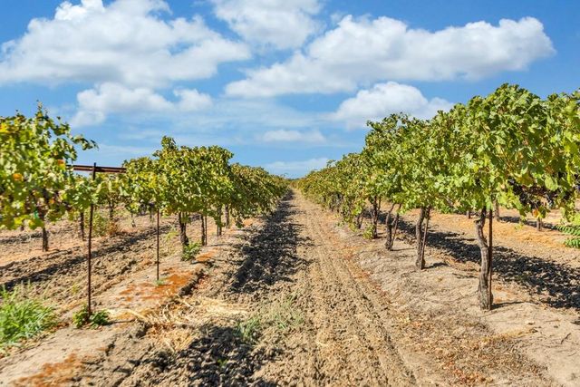 32852 S River Rd, Clarksburg, CA 95612