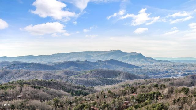 1590 Sky View Drive, Sevierville, TN 37876