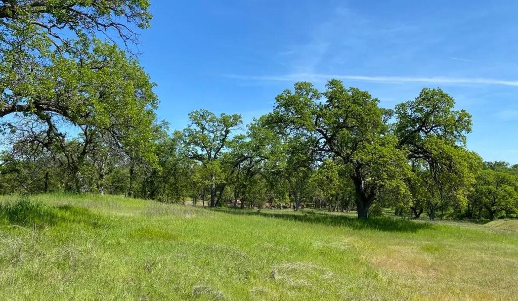 3.62 acres Deer Crest Trail, Cottonwood, CA 96022