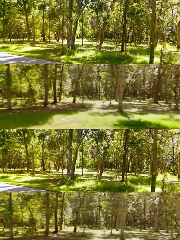 11330 ROYAL DRIVE, Brooksville, FL 34601