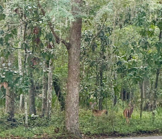 11330 ROYAL DRIVE, Brooksville, FL 34601