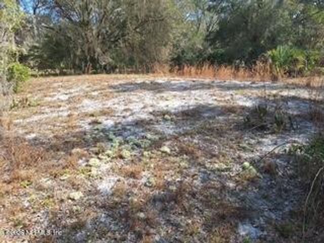 197 COUNTY ROAD 207A, East Palatka, FL 32131