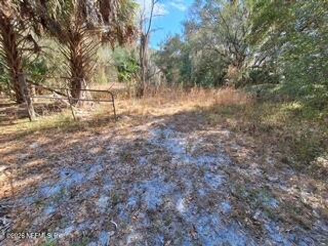 197 COUNTY ROAD 207A, East Palatka, FL 32131