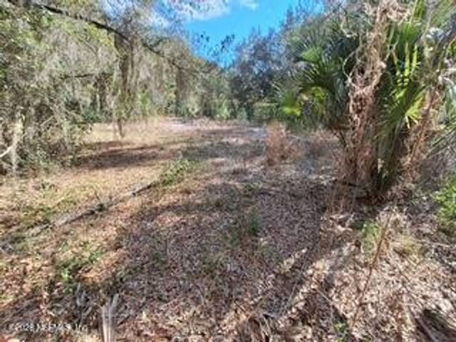 197 COUNTY ROAD 207A, East Palatka, FL 32131