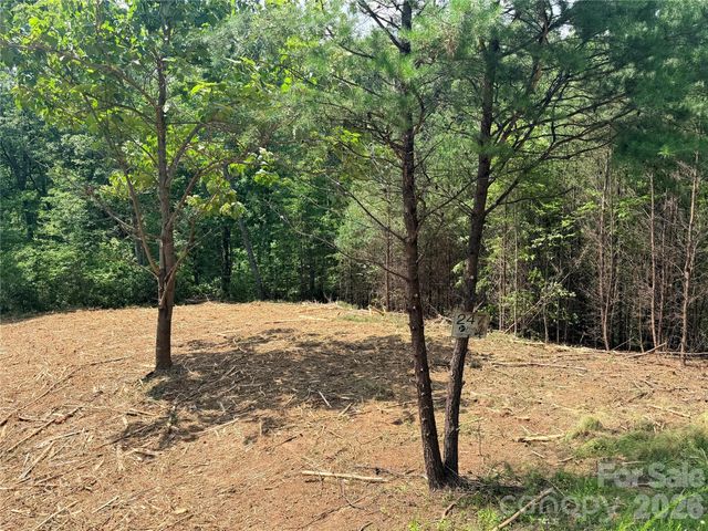 0 Rock Ledge Drive 247, Lake Lure, NC 28746