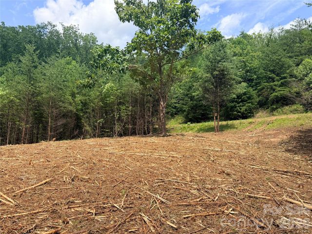 0 Rock Ledge Drive 247, Lake Lure, NC 28746