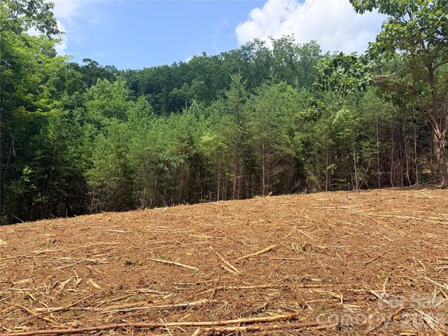 0 Rock Ledge Drive 247, Lake Lure, NC 28746