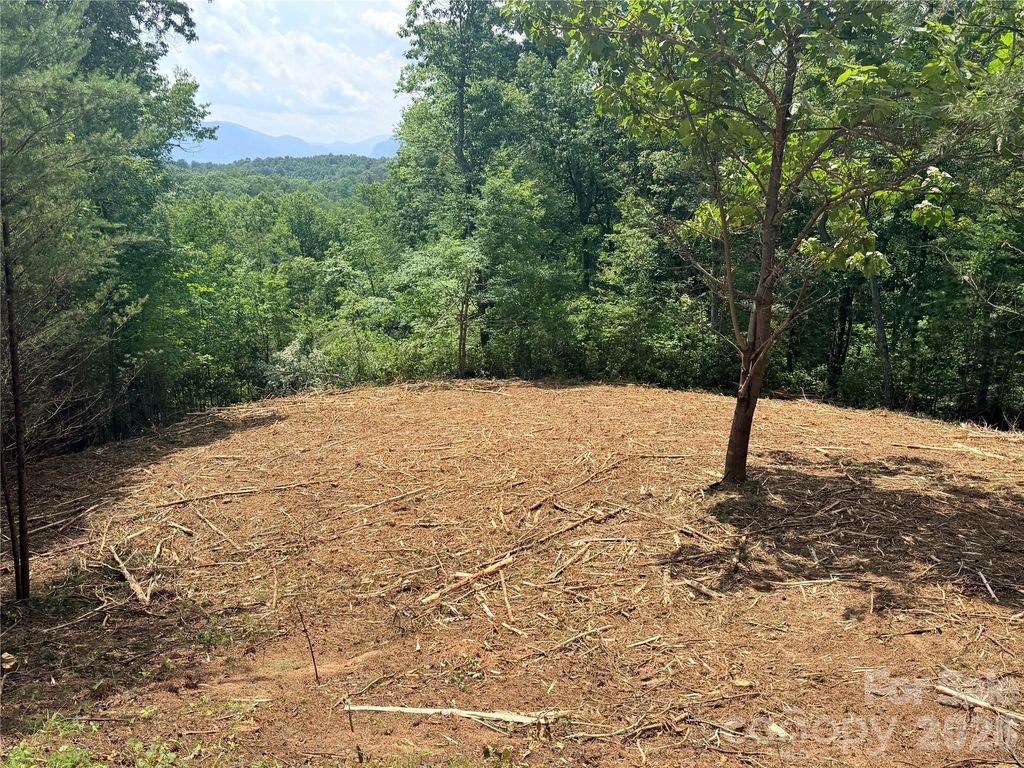 0 Rock Ledge Drive 247, Lake Lure, NC 28746