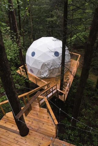 242 Cave Holw Road, Campton, KY 41301