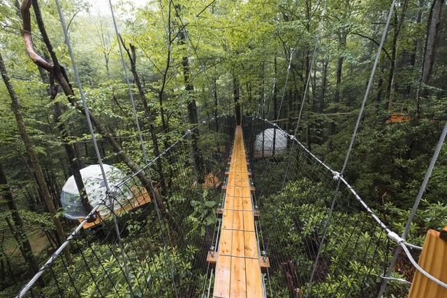 242 Cave Holw Road, Campton, KY 41301