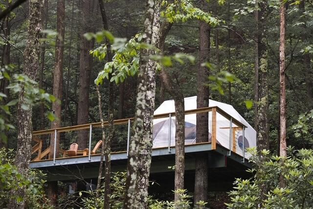 242 Cave Holw Road, Campton, KY 41301