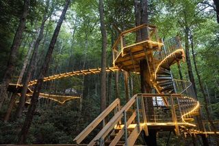 242 Cave Holw Road, Campton, KY 41301