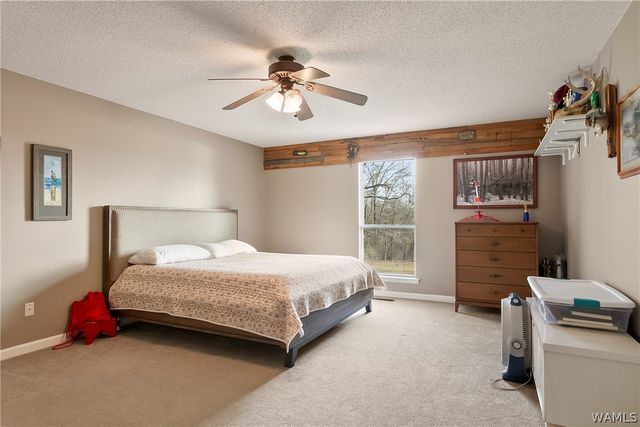 15111 Unicorn, Cottondale, AL 35453