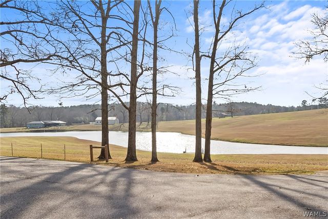 15111 Unicorn, Cottondale, AL 35453