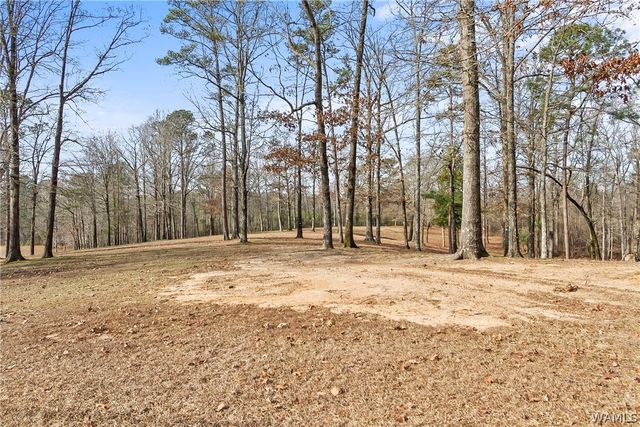 15111 Unicorn, Cottondale, AL 35453