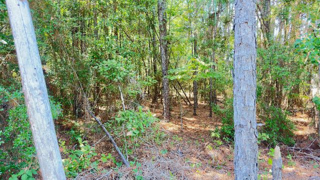 1959 Country Club, 39401, Hattiesburg, MS 39401