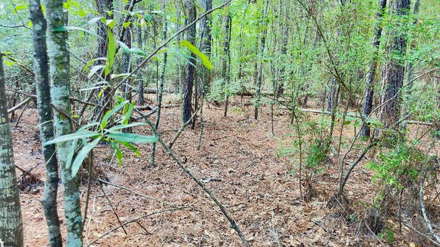 1959 Country Club, 39401, Hattiesburg, MS 39401