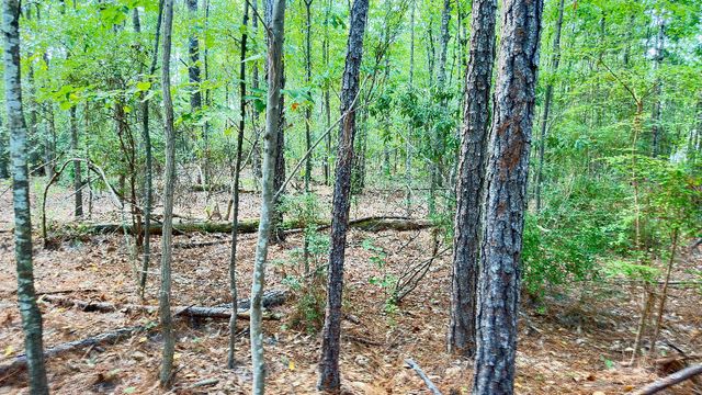 1959 Country Club, 39401, Hattiesburg, MS 39401