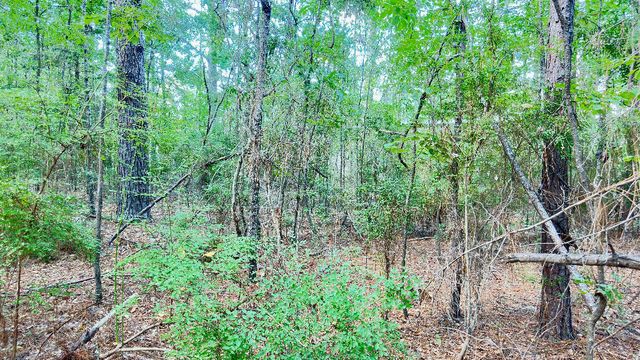1959 Country Club, 39401, Hattiesburg, MS 39401