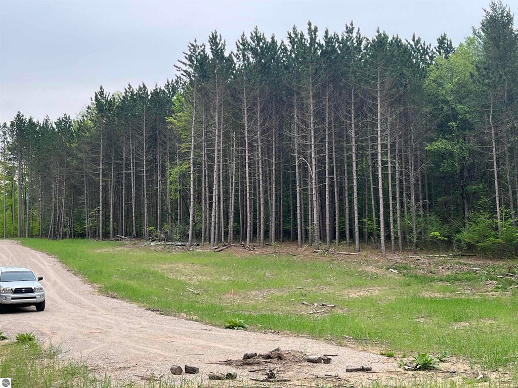 Image 3 of property listing at TBD Theron Road, Traverse City, MI 49685