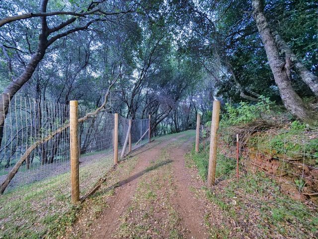 2405 Greensboro Rd, Placerville, CA 95667