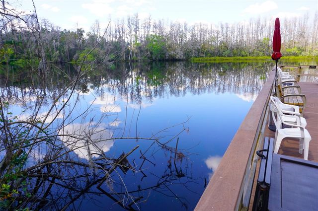 20853 HAULOVER COVE A12, Lutz, FL 33558