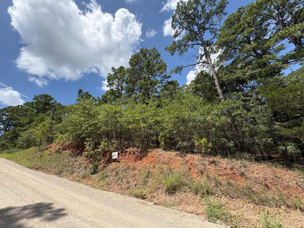 120 Molokini DR, Bastrop, TX 78602