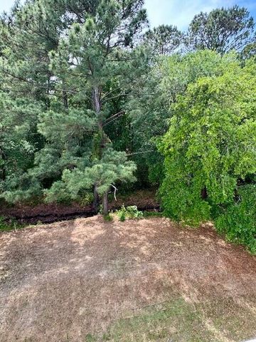 1051 Capersview Court, Awendaw, SC 29429