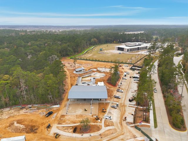 15115 Bank Swallow Place, Magnolia, TX 77354